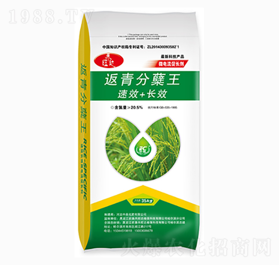 ������Y��-�в�����