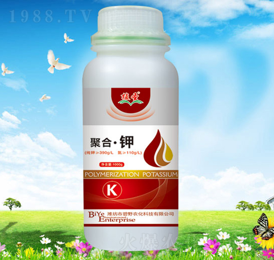 �ۺ��-ֲʥ-��Ұ�r(n��ng)��