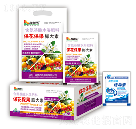 �������������-���ɷʘI(y��)