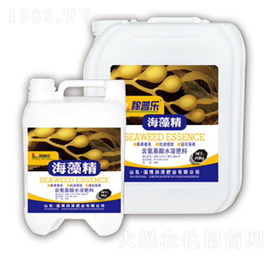 ���徫-���՘�(l��)-��(r��n)�ɷʘI(y��)