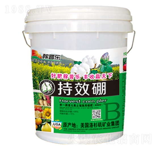 ��Ч���w����-���՘�-��(r��n)�ɷʘI(y��)