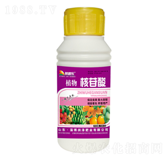 ƿ�bֲ�������-��(r��n)�ɷʘI(y��)