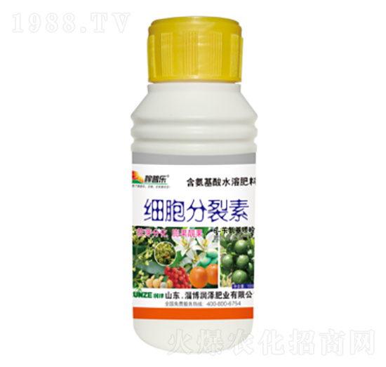 ��(x��)��������-���՘�-���ɷʘI(y��)