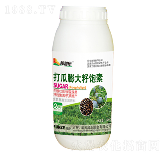 �����������-���՘�-��(r��n)�ɷʘI(y��)