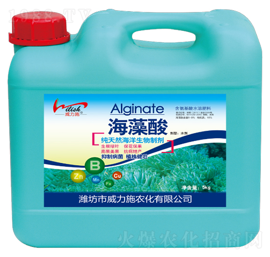 ������-����ʩ