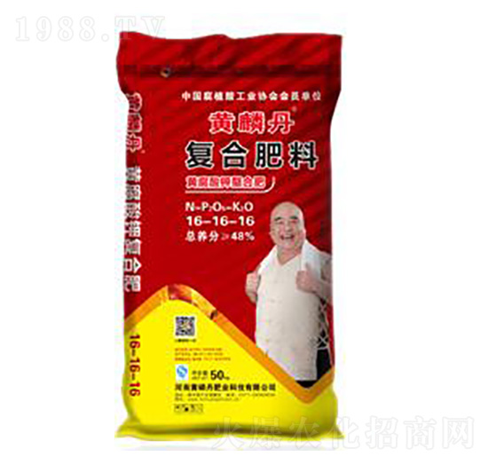 48%�S����⛏ͺϷ���16-16-16-�S�׵�