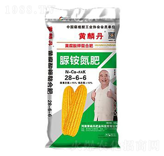 ���@����28-6-6-�S�׵�