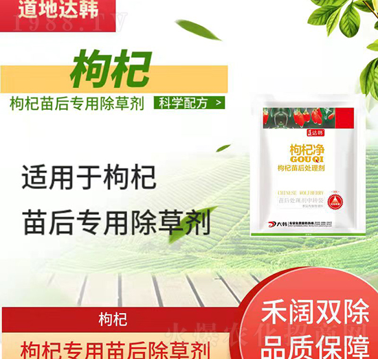枸杞除草劑-枸杞苗后-枸杞專用-大韓