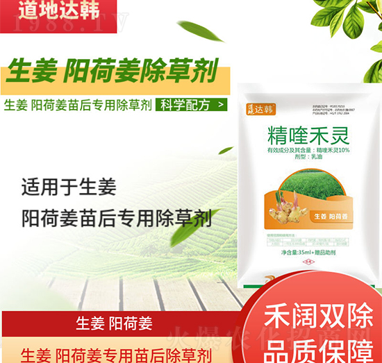 ����ꖺɽ����݄�-����ꖺɽ����-����ꖺɽ�����-���n