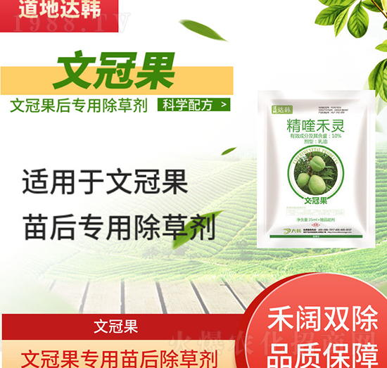 �Ĺڹ����݄�-�Ĺڹ����-�Ĺڹ���(zhu��n)��-���n