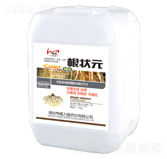 ����Ԫ-����ʩ