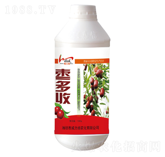 1000g���S��-����ʩ