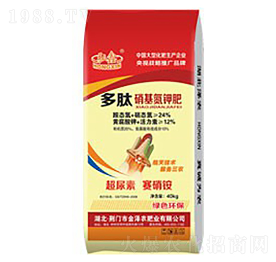 ����������⛷�-����-���S����