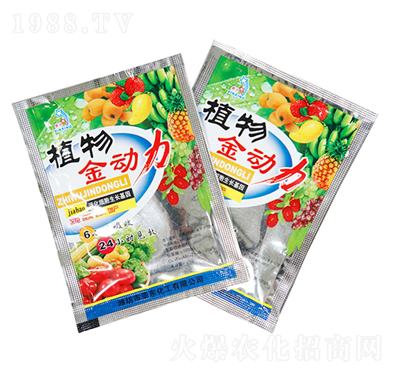 25gֲ�������-���|����