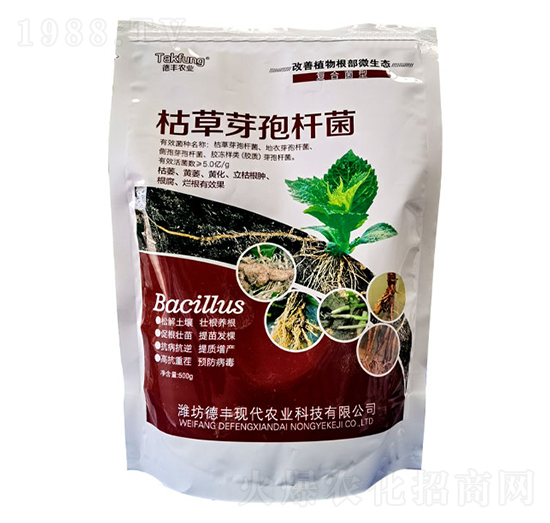 500g�ݲ�ѿ�ߗU��-��?w��n)|����