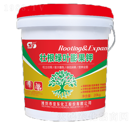 �Ѹ��G�~����-��?w��n)|����