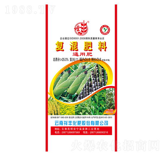 ������͏�(f��)�����11-8-6-���S