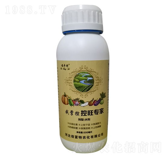 ������(zhu��n)�� ���ƿ� �������r(n��ng)��