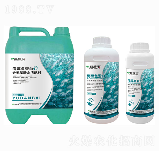 �����~(y��)���� �Ƶ�