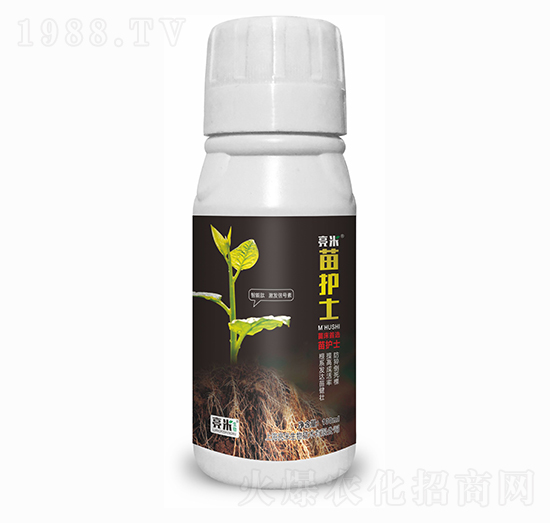 ���oʿ ��������