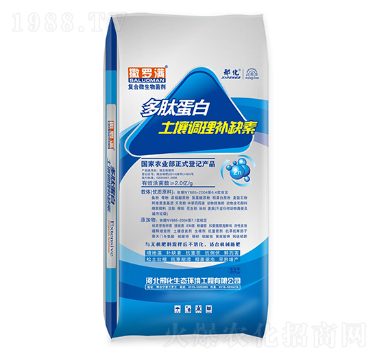 ���ĵ��� �ϻ�