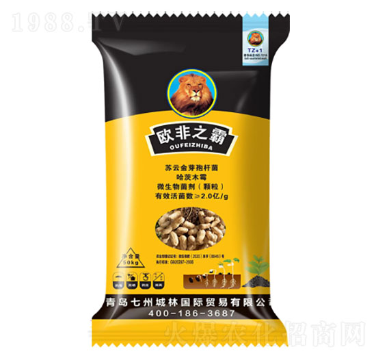 �������طN��-�W��֮��