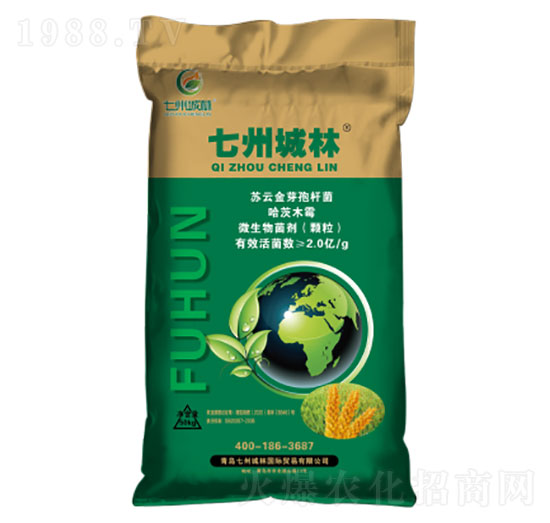 ��ʮ��С���������طN��-���ݳ���