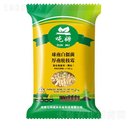 �����طN��-��ķ