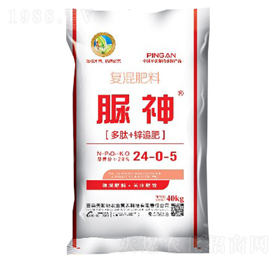 ����+�\׷��24-0-5-����-����