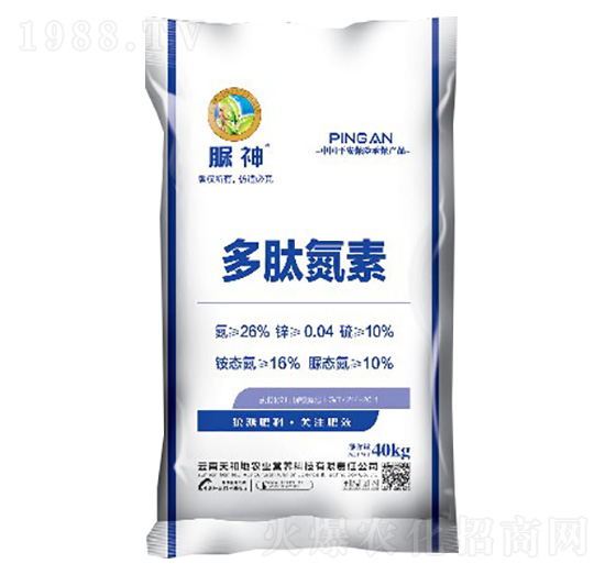 ���ĵ���-����-����