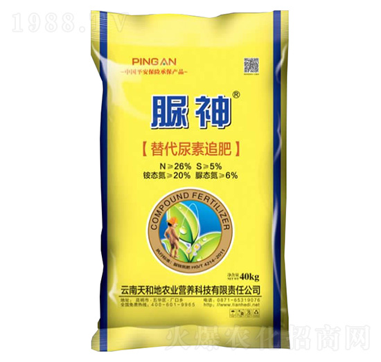 ����26-0-0-����