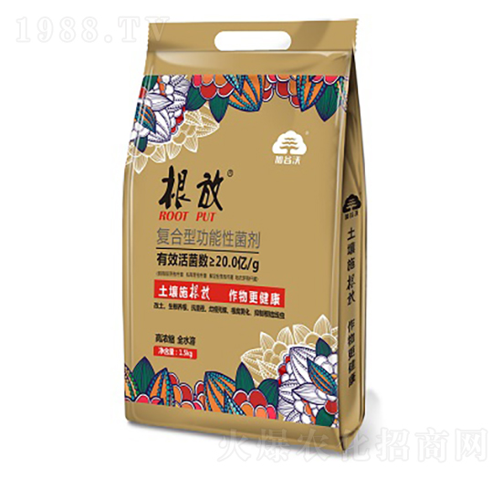 �ͺ��͹����Ծ��� ���� �ӹ���