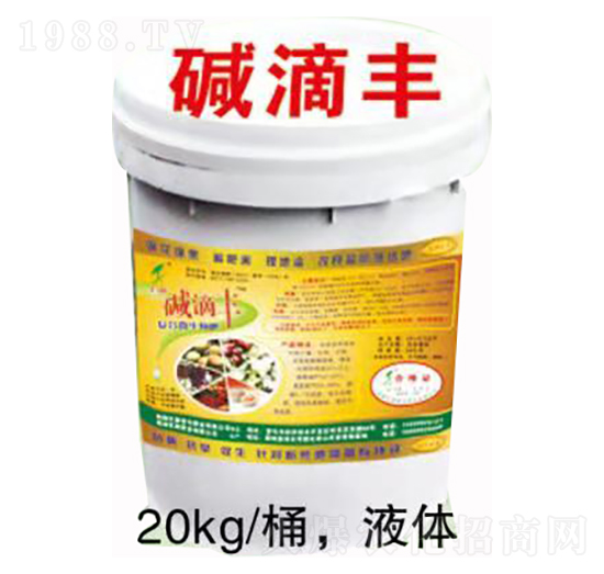 �A���S �޿�����