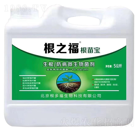 ��������΢�������-���猚-���ร