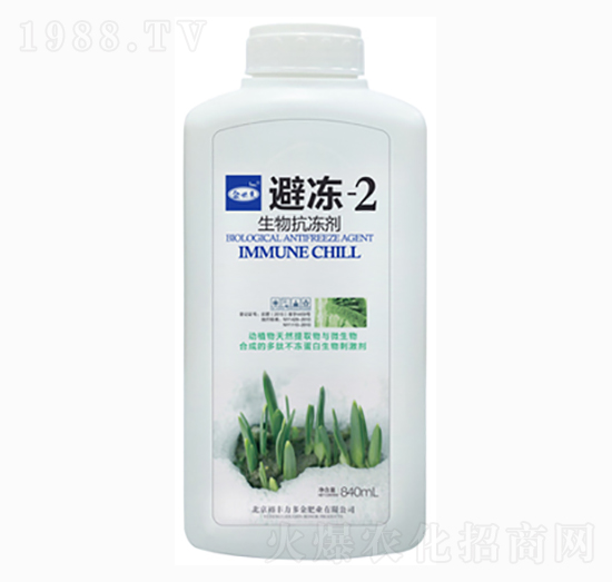 ���￹����-�܃�-2-��؁�