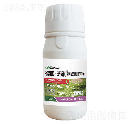 �}�V���F�\-��(gu��)������(r��n)-�|��ʢ̩