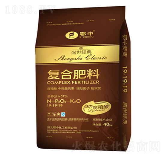 ��(f��)�Ϸ���19-19-19-ʢ����(j��ng)��-�������B(t��i)