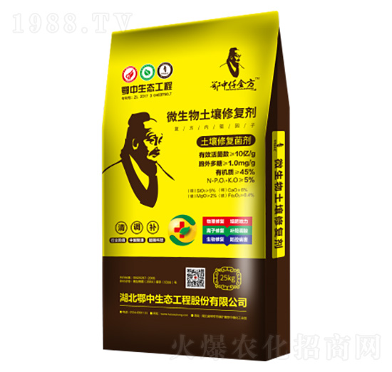 �����ޏ�(f��)����-Ǫ��-�������B(t��i)