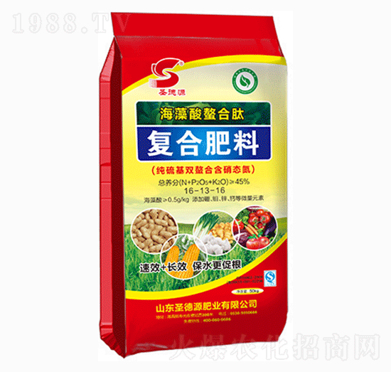 �����������ď�(f��)�Ϸ���16-13-16-ʥ��Դ