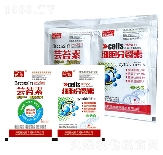 �|̦��+����������-�������r