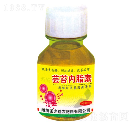 �|̦��(n��i)֬��-�������r(n��ng)