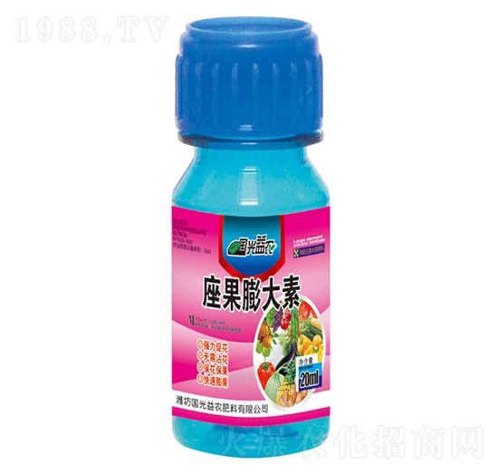 ���������-�������r