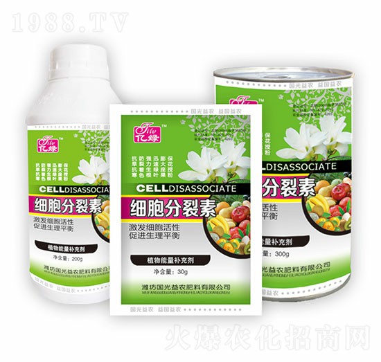 ���������ؽM��-�������r