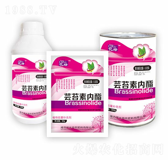 �|̦�؃�(n��i)���M��-�������r(n��ng)