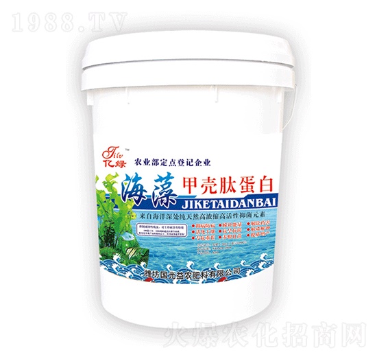 ����ך��ĵ���-�������r