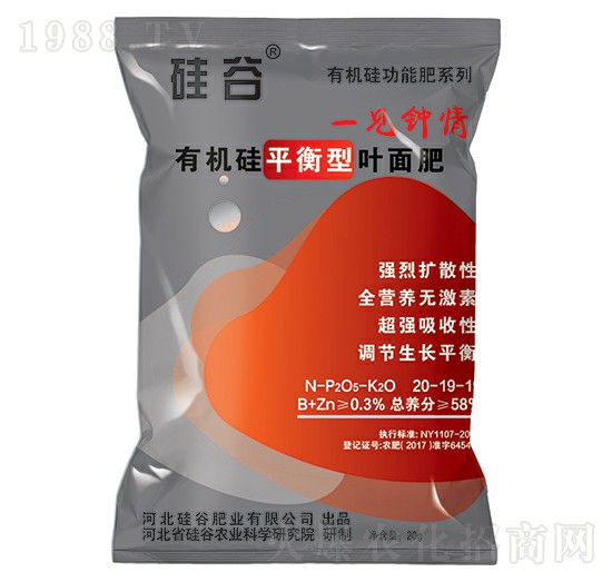 有機硅平衡型葉面肥-硅谷化工