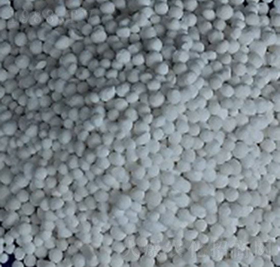 25%�w���\��-�r���r�I(y��)