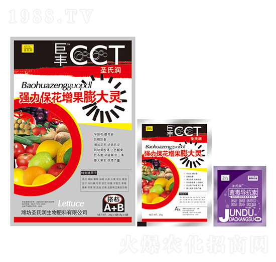 ��(qi��ng)��������������`-���S-ʥ�ϝ�