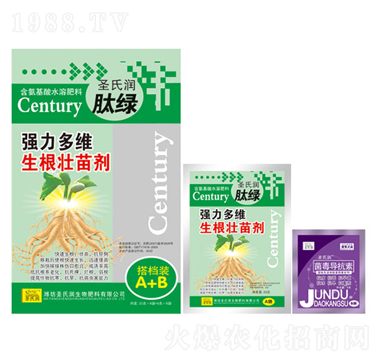 ��(qi��ng)����S�������焩����n�bA+B��-ʥ�ϝ�