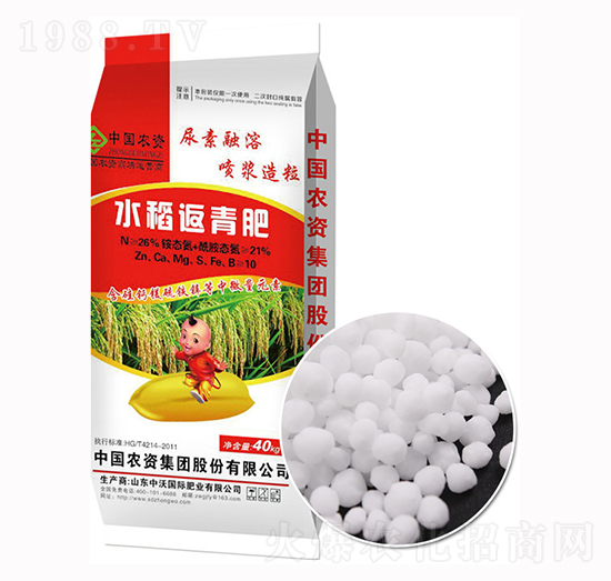 ˮ�������-����